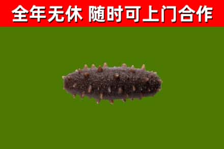 永丰烟酒回收干海参.jpg